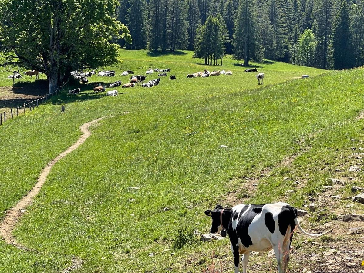 Le Locle : Bel Appartement Chaleureux Dış mekan fotoğraf